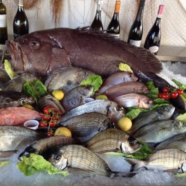 Trattoria Pescheria Azzurra